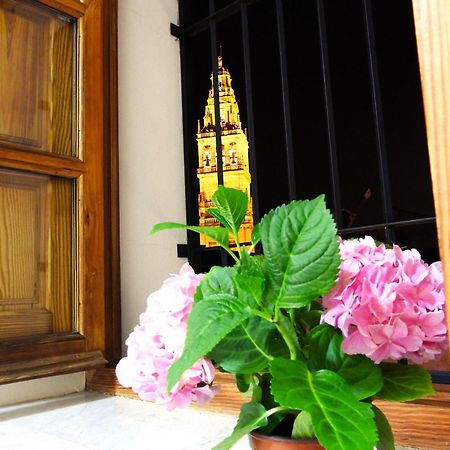 La Calleja De La Mezquita 科爾多瓦 外观 照片